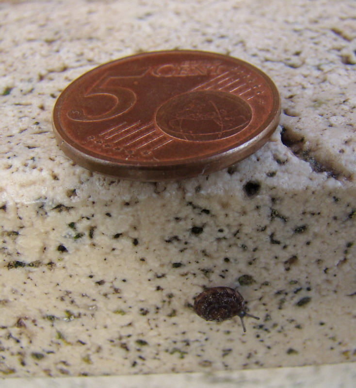 Modestamente...una macro 2